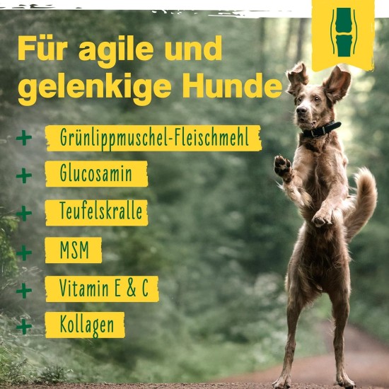 ida+ - 12-in-1 Move Complex Joint Powder for Dogs - Developed with Veterinarians - Green-lipped Mussel, MSM, Omega-3 & Devil's Claw Support Dog Joints - High Acceptance by Dogs - 160 g ida+ - 12-in-1 Move Complex Joint Powder for Dogs - Developed with Veterinarians - Green-lipped Mussel, MSM, Omega-3 & Devil's Claw Support Dog Joints - High Acceptance by Dogs - 160 g