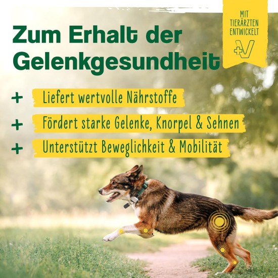ida+ - 12-in-1 Move Complex Joint Powder for Dogs - Developed with Veterinarians - Green-lipped Mussel, MSM, Omega-3 & Devil's Claw Support Dog Joints - High Acceptance by Dogs - 160 g ida+ - 12-in-1 Move Complex Joint Powder for Dogs - Developed with Veterinarians - Green-lipped Mussel, MSM, Omega-3 & Devil's Claw Support Dog Joints - High Acceptance by Dogs - 160 g