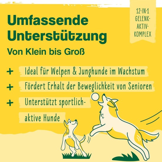 ida+ - 12-in-1 Move Complex Joint Powder for Dogs - Developed with Veterinarians - Green-lipped Mussel, MSM, Omega-3 & Devil's Claw Support Dog Joints - High Acceptance by Dogs - 160 g ida+ - 12-in-1 Move Complex Joint Powder for Dogs - Developed with Veterinarians - Green-lipped Mussel, MSM, Omega-3 & Devil's Claw Support Dog Joints - High Acceptance by Dogs - 160 g