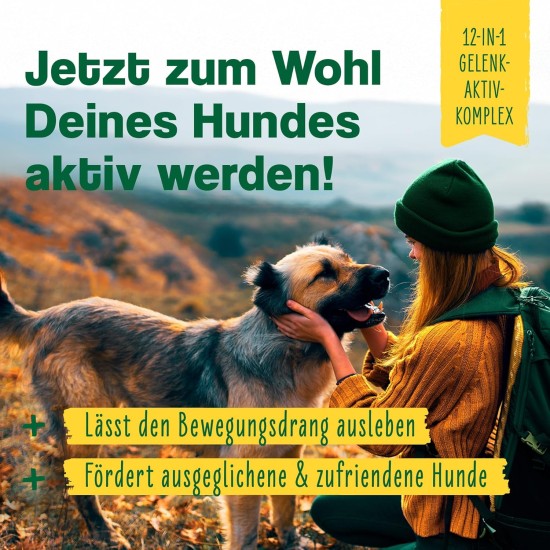 ida+ - 12-in-1 Move Complex Joint Powder for Dogs - Developed with Veterinarians - Green-lipped Mussel, MSM, Omega-3 & Devil's Claw Support Dog Joints - High Acceptance by Dogs - 160 g ida+ - 12-in-1 Move Complex Joint Powder for Dogs - Developed with Veterinarians - Green-lipped Mussel, MSM, Omega-3 & Devil's Claw Support Dog Joints - High Acceptance by Dogs - 160 g