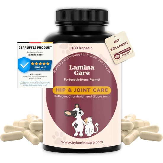 lamina care - Joint Tablets Dog to Strengthen Joints, Hips and Improve Mobility, with Green-Lipped Mussel Dog Powder, Natural Pain Reliever for Dogs with Glucosamine Dog