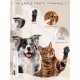 4 in 1 Paw Trimmer for Dogs with LED, Dog Paw Trimmer for with LED, Wireless Dog Paw Trimmer Super Quiet, Pet Shaver for Paws, Face, Body, Oreilles, Visage, Corps 4 in 1 Paw Trimmer for Dogs with LED, Dog Paw Trimmer for with LED, Wireless Dog Paw Trimmer Super Quiet, Pet Shaver for Paws, Face, Body, Oreilles, Visage, Corps