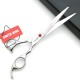 7 Inch Dog Grooming Scissors Set Dog Straight Scissors & Thinning Scissors & Curved Scissors Set of 4 7 Inch Dog Grooming Scissors Set Dog Straight Scissors & Thinning Scissors & Curved Scissors Set of 4