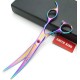 7 Inch Dog Grooming Scissors Set Dog Straight Scissors & Thinning Scissors & Curved Scissors Set of 4 7 Inch Dog Grooming Scissors Set Dog Straight Scissors & Thinning Scissors & Curved Scissors Set of 4