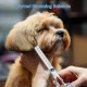AUSYIWI 7-in-1 Professional Dog Scissors Set, Stainless Steel with Round Safety Tip, Fur Scissors Including Thinning Scissors, Curved, Straight Scissors, Grooming Comb, for Dogs, Cats and Other