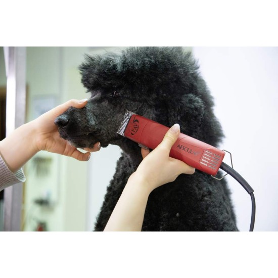 Aesculap Hair Clipper Head #10 - 1.5mm Red FAV5 GT105 Aesculap Hair Clipper Head #10 - 1.5mm Red FAV5 GT105