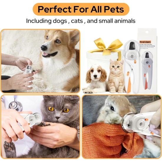 Alyvisun Dog Nail Clippers, Cat Nail Clippers with High LED Lighting, Safety Protection, Nail File and Transparent Splash Guard for Large, Medium, Small Animals (White Orange) Alyvisun Dog Nail Clippers, Cat Nail Clippers with High LED Lighting, Safety Protection, Nail File and Transparent Splash Guard for Large, Medium, Small Animals (White Orange)