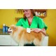 Andis Pet Pin Brush, Medium Andis Pet Pin Brush, Medium