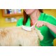 Andis Pet Pin Brush, Medium Andis Pet Pin Brush, Medium
