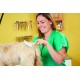 Andis Pet Pin Brush, Medium Andis Pet Pin Brush, Medium