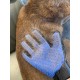 Auroni Reusable Lint Roller for Dogs, Cat Hair, Perfect Lint Brush for Clothes, Car, Carpet, Sofa, Animal-friendly and Environmentally Friendly, Anti-Static Pet Hair Glove Auroni Reusable Lint Roller for Dogs, Cat Hair, Perfect Lint Brush for Clothes, Car, Carpet, Sofa, Animal-friendly and Environmentally Friendly, Anti-Static Pet Hair Glove