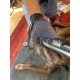 Auroni Reusable Lint Roller for Dogs, Cat Hair, Perfect Lint Brush for Clothes, Car, Carpet, Sofa, Animal-friendly and Environmentally Friendly, Anti-Static Pet Hair Glove Auroni Reusable Lint Roller for Dogs, Cat Hair, Perfect Lint Brush for Clothes, Car, Carpet, Sofa, Animal-friendly and Environmentally Friendly, Anti-Static Pet Hair Glove