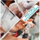 BarberBoss Dog Clippers Cordless Professional Dog Clipper for Thick Hair, Dog Grooming Kit, Cat Clipper for Matted Fur, Pet Grooming Kit, Pet Clipper QR-9088 BarberBoss Dog Clippers Cordless Professional Dog Clipper for Thick Hair, Dog Grooming Kit, Cat Clipper for Matted Fur, Pet Grooming Kit, Pet Clipper QR-9088