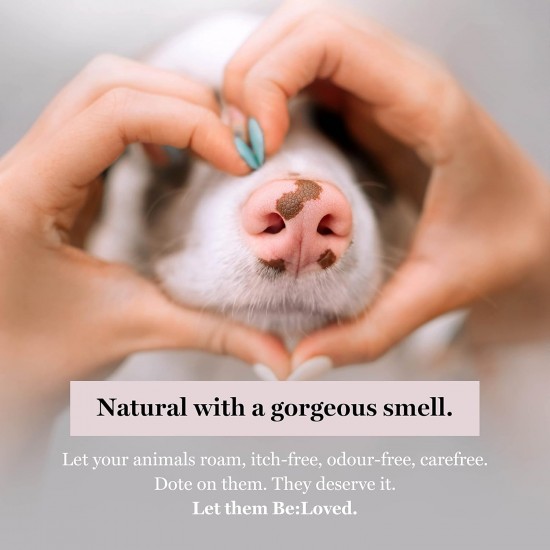 Be:Loved - Be:set Pet Shampoo Set (330 g) / Dog Shampoo Grooming Soothing and Moisturising for Clean, Soft and Combable Coat, Tick and Flea Protection Be:Loved - Be:set Pet Shampoo Set (330 g) / Dog Shampoo Grooming Soothing and Moisturising for Clean, Soft and Combable Coat, Tick and Flea Protection