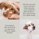 Be:Loved - Be:set Pet Shampoo Set (330 g) / Dog Shampoo Grooming Soothing and Moisturising for Clean, Soft and Combable Coat, Tick and Flea Protection