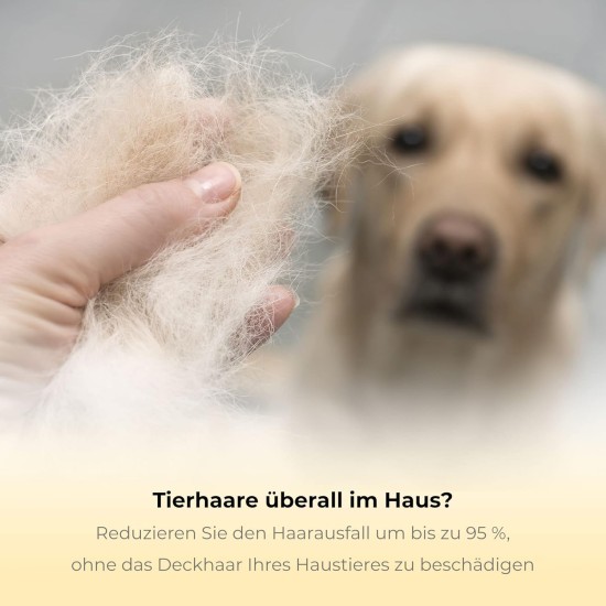 Best Professional Deshedding Tool and Pet Grooming Brush – D-Shedz for Small, Medium and Large Breeds of Dogs and Cats with Short or Long Hair Best Professional Deshedding Tool and Pet Grooming Brush – D-Shedz for Small, Medium and Large Breeds of Dogs and Cats with Short or Long Hair