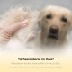 Best Professional Deshedding Tool and Pet Grooming Brush – D-Shedz for Small, Medium and Large Breeds of Dogs and Cats with Short or Long Hair Best Professional Deshedding Tool and Pet Grooming Brush – D-Shedz for Small, Medium and Large Breeds of Dogs and Cats with Short or Long Hair