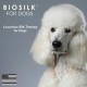BioSilk Double Sided Pin and Bristle Brush for Dogs BioSilk Double Sided Pin and Bristle Brush for Dogs
