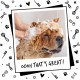 Bugalugs All in 1 Shampoo for Dogs, Hair Removal, 500 ml, Nourishing Formula for Healthy Hair and Balanced Skin Bugalugs All in 1 Shampoo for Dogs, Hair Removal, 500 ml, Nourishing Formula for Healthy Hair and Balanced Skin