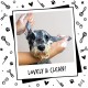 Bugalugs All in 1 Shampoo for Dogs, Hair Removal, 500 ml, Nourishing Formula for Healthy Hair and Balanced Skin Bugalugs All in 1 Shampoo for Dogs, Hair Removal, 500 ml, Nourishing Formula for Healthy Hair and Balanced Skin