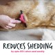Bugalugs Deshedding Brush for Dogs, Cats, Horses & Pets, Professional Pet Comb Brushes for Grooming for Short to Long Hair, Undercoat Rake Brush, Reduces Hair Loss Bugalugs Deshedding Brush for Dogs, Cats, Horses & Pets, Professional Pet Comb Brushes for Grooming for Short to Long Hair, Undercoat Rake Brush, Reduces Hair Loss
