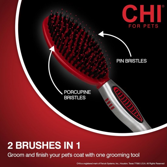 CHI For Dogs Porcupine Brush for Dogs, Best Brush for All Dogs, Grooming Tools for Dogs and Puppies CHI For Dogs Porcupine Brush for Dogs, Best Brush for All Dogs, Grooming Tools for Dogs and Puppies
