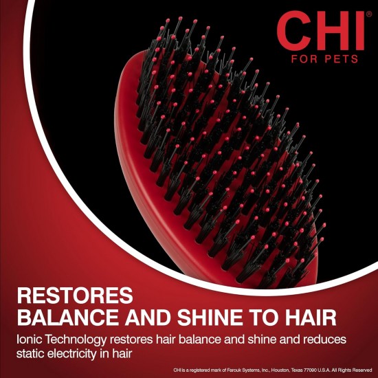 CHI For Dogs Porcupine Brush for Dogs, Best Brush for All Dogs, Grooming Tools for Dogs and Puppies CHI For Dogs Porcupine Brush for Dogs, Best Brush for All Dogs, Grooming Tools for Dogs and Puppies