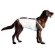 COVETRUS CO2800669 Abdominating Size 2 36 cm 1 Piece Plastic COVETRUS CO2800669 Abdominating Size 2 36 cm 1 Piece Plastic