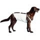 COVETRUS CO2800669 Abdominating Size 2 36 cm 1 Piece Plastic COVETRUS CO2800669 Abdominating Size 2 36 cm 1 Piece Plastic