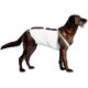 COVETRUS CO2800670 Abdominating Size 3 44 cm, 1 Piece, Plastic COVETRUS CO2800670 Abdominating Size 3 44 cm, 1 Piece, Plastic