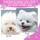 Cinsersr Dog Scissors, Curved Dog Scissors, Thinning Scissors, Dog Grooming Scissors, Dog Scissors, Fur Scissors with a Steel Comb (Pink)