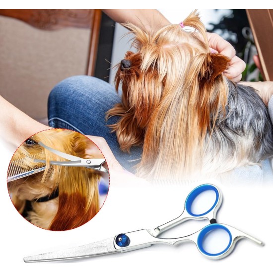 Curved Dog Scissors, Professional Fur Scissors for Cats and Dogs, Blue, Stainless Steel, Hair Scissors, Pet Care Curved Dog Scissors, Professional Fur Scissors for Cats and Dogs, Blue, Stainless Steel, Hair Scissors, Pet Care