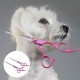 Cyrank Dog Grooming Scissors, Dog Grooming Scissors with Storage Bag for Dog Grooming Cyrank Dog Grooming Scissors, Dog Grooming Scissors with Storage Bag for Dog Grooming