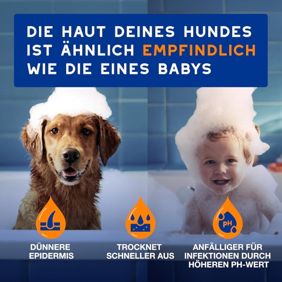 DOUXO Skin & Coat SPA - Ultra-Safe 2-in-1 Dog Shampoo & Conditioner 250ml Cleanses & Moisturizes Skin, Leaves Coat Soft & Tangle Free, Skin Friendly Formula DOUXO Skin & Coat SPA - Ultra-Safe 2-in-1 Dog Shampoo & Conditioner 250ml Cleanses & Moisturizes Skin, Leaves Coat Soft & Tangle Free, Skin Friendly Formula