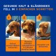 DOUXO Skin & Coat SPA - Ultra-Safe 2-in-1 Dog Shampoo & Conditioner 250ml Cleanses & Moisturizes Skin, Leaves Coat Soft & Tangle Free, Skin Friendly Formula DOUXO Skin & Coat SPA - Ultra-Safe 2-in-1 Dog Shampoo & Conditioner 250ml Cleanses & Moisturizes Skin, Leaves Coat Soft & Tangle Free, Skin Friendly Formula