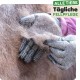 DR Zoo Pet Grooming Gloves Brush for Cat Hair, Dog Hair and Horse Hair, s