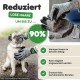 DR Zoo Pet Grooming Gloves Brush for Cat Hair, Dog Hair and Horse Hair, s