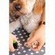 Dehner Plastic / Stainless Steel Nail Trimmer for Small Dogs and Cats, Green/Black Dehner Plastic / Stainless Steel Nail Trimmer for Small Dogs and Cats, Green/Black