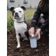 Dexas MudBuster PW72025-22WP Portable Dog Paw Cleaner, Large, Matte Black Dexas MudBuster PW72025-22WP Portable Dog Paw Cleaner, Large, Matte Black