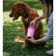 Dexas MudBuster PW72025-22WP Portable Dog Paw Cleaner, Large, Matte Black Dexas MudBuster PW72025-22WP Portable Dog Paw Cleaner, Large, Matte Black