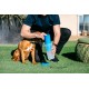 Dexas MudBuster PW72025-22WP Portable Dog Paw Cleaner, Large, Matte Black Dexas MudBuster PW72025-22WP Portable Dog Paw Cleaner, Large, Matte Black