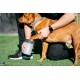 Dexas MudBuster PW72025-22WP Portable Dog Paw Cleaner, Large, Matte Black Dexas MudBuster PW72025-22WP Portable Dog Paw Cleaner, Large, Matte Black