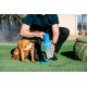 Dexas MudBuster Portable Dog Paw Cleaner Dexas MudBuster Portable Dog Paw Cleaner