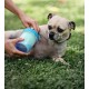 Dexas MudBuster Portable Dog Paw Cleaner Dexas MudBuster Portable Dog Paw Cleaner