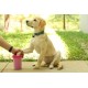 Dexas MudBuster Portable Dog Paw Cleaner Dexas MudBuster Portable Dog Paw Cleaner
