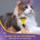 Dog Brush Cat Brush, 12 + 23 Pet Stainless Steel Comb, Double-Sided DeShedding Tool for Dogs to Remove Unwanted Hair, Untangling Knots Dog Brush Cat Brush, 12 + 23 Pet Stainless Steel Comb, Double-Sided DeShedding Tool for Dogs to Remove Unwanted Hair, Untangling Knots