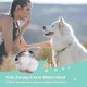 Dog Brush Cat Brush, 12 + 23 Pet Stainless Steel Comb, Double-Sided DeShedding Tool for Dogs to Remove Unwanted Hair, Untangling Knots Dog Brush Cat Brush, 12 + 23 Pet Stainless Steel Comb, Double-Sided DeShedding Tool for Dogs to Remove Unwanted Hair, Untangling Knots
