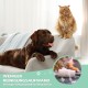 Dog Brush Cat Brush, 12 + 23 Pet Stainless Steel Comb, Double-Sided DeShedding Tool for Dogs to Remove Unwanted Hair, Untangling Knots Dog Brush Cat Brush, 12 + 23 Pet Stainless Steel Comb, Double-Sided DeShedding Tool for Dogs to Remove Unwanted Hair, Untangling Knots