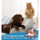 Dog Brush Cat Brush, 12 + 23 Pet Stainless Steel Comb, Double-Sided DeShedding Tool for Dogs to Remove Unwanted Hair, Untangling Knots Dog Brush Cat Brush, 12 + 23 Pet Stainless Steel Comb, Double-Sided DeShedding Tool for Dogs to Remove Unwanted Hair, Untangling Knots
