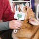 Dog Brush, Cat Brush, Pet Self-Cleaning Slicker Brush Removes Undercoat, Dog Brushes for Undercoat, Hair Remover Pet Brush for Longhaired Short Haired Dogs and Cats, Blue Dog Brush, Cat Brush, Pet Self-Cleaning Slicker Brush Removes Undercoat, Dog Brushes for Undercoat, Hair Remover Pet Brush for Longhaired Short Haired Dogs and Cats, Blue